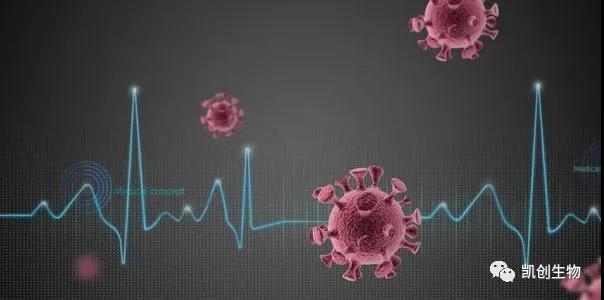 喜訊：凱創(chuàng)生物多款新冠抗原試劑均已獲CE準(zhǔn)入和出口白名單！