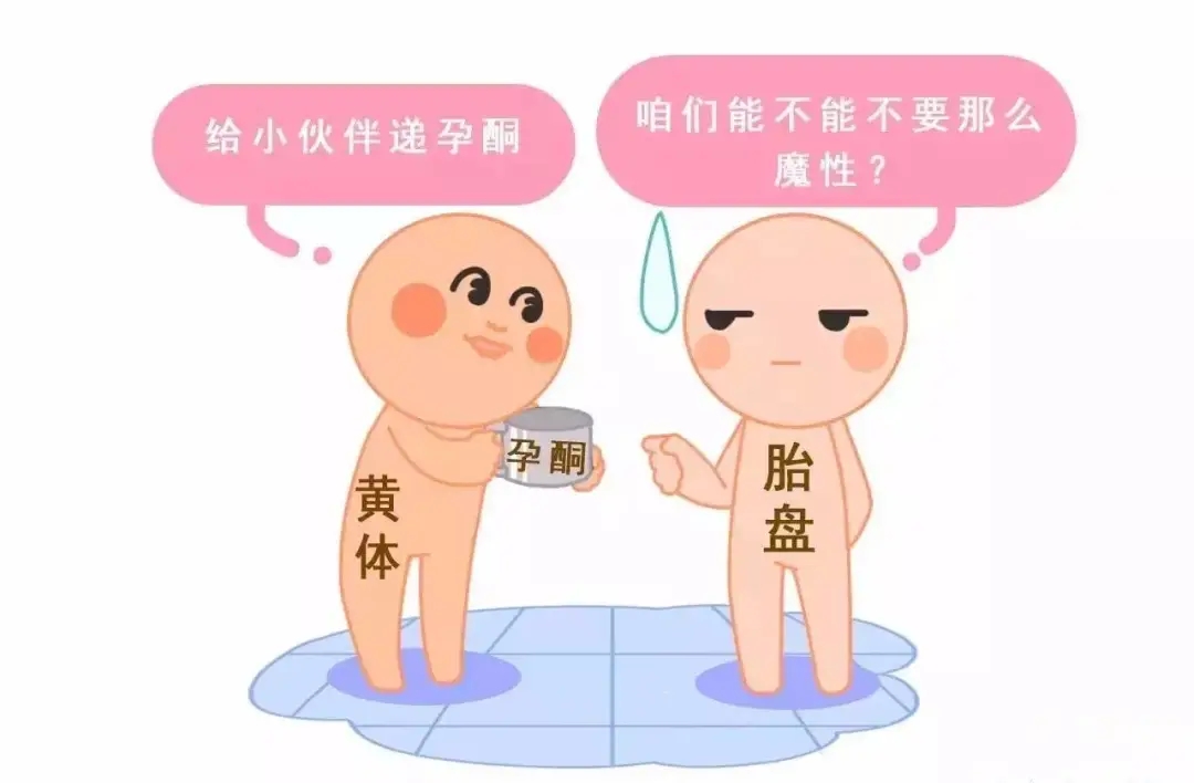 HCG和孕酮低一定會流產？備孕女性必須知道的孕早期“秘密”